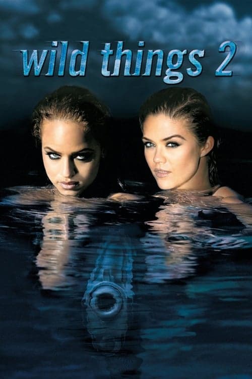 Poster for Wild Things 2