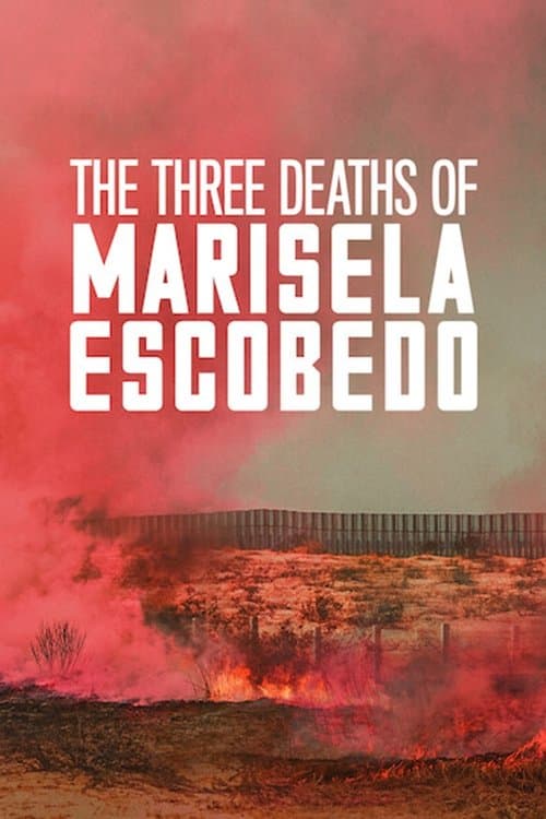 Poster for The Three Deaths of Marisela Escobedo