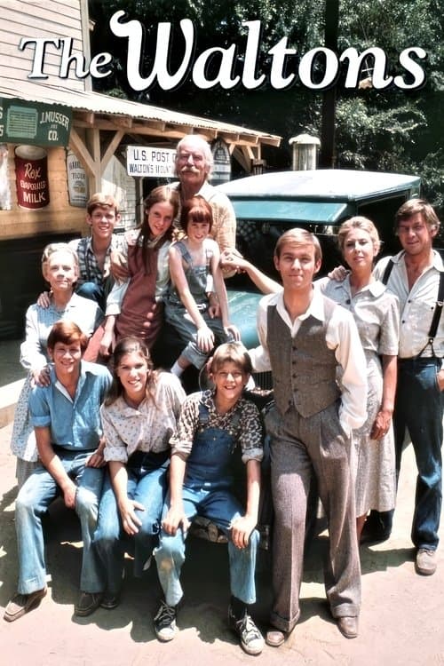 Poster for The Waltons