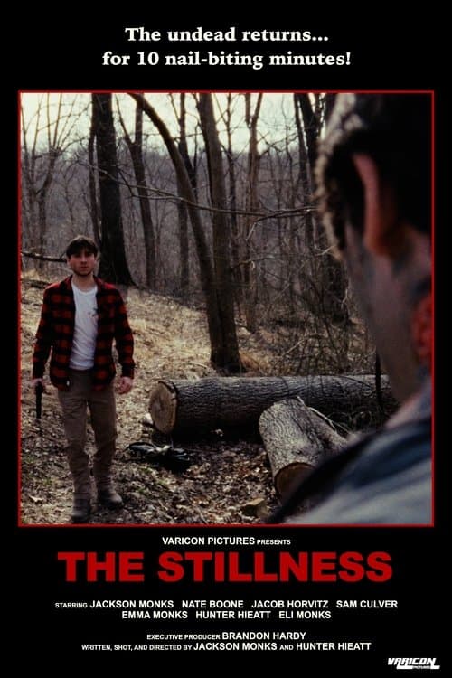 Poster for The Stillness