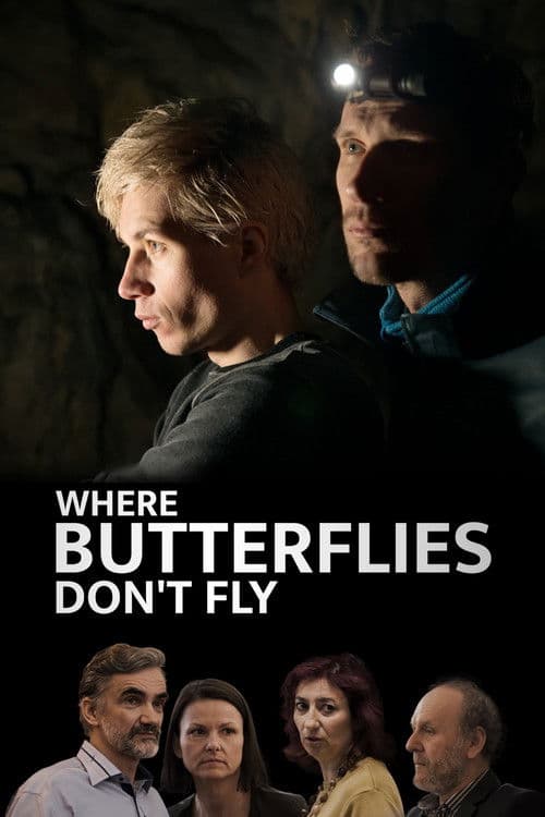 Poster for Where Butterflies Don't Fly