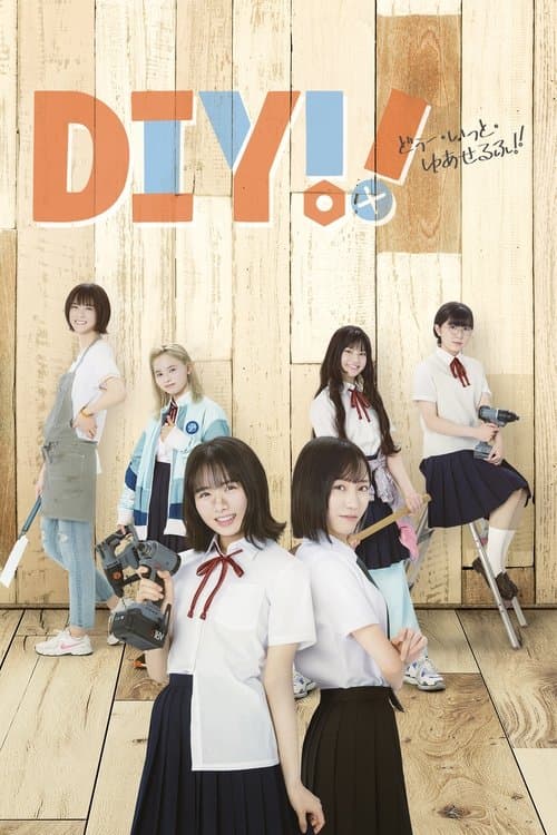 Poster for DIY!!: Do It Yourself