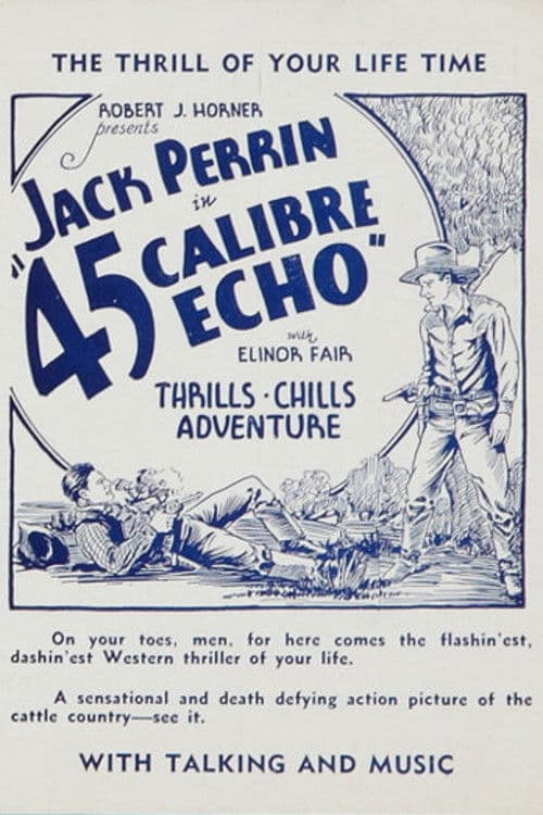 Poster for 45 Calibre Echo
