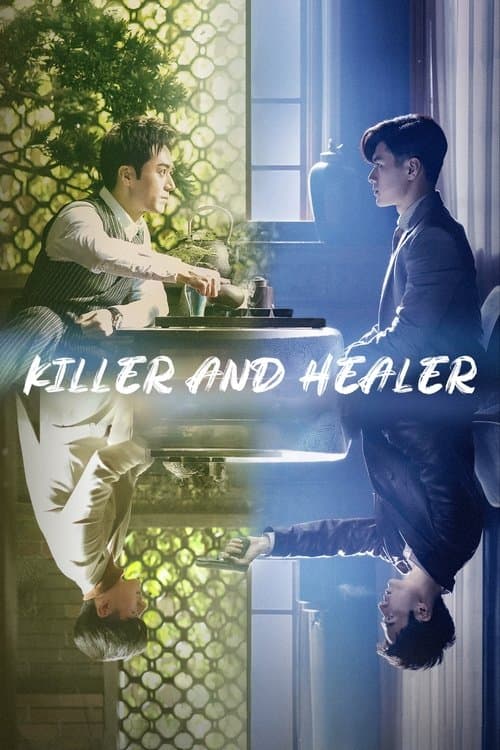 Poster for Killer And Healer