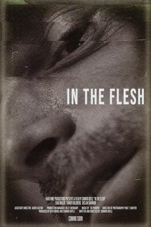 Poster for In the Flesh