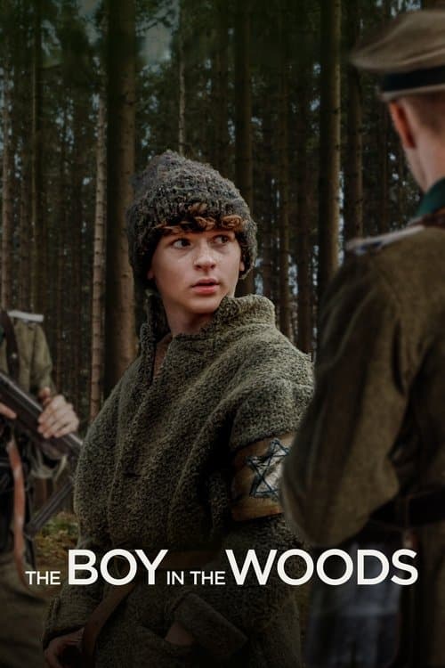 Poster for The Boy in the Woods