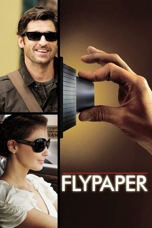 Poster for Flypaper