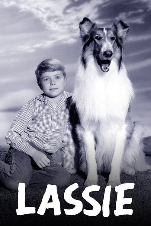 Poster for Lassie