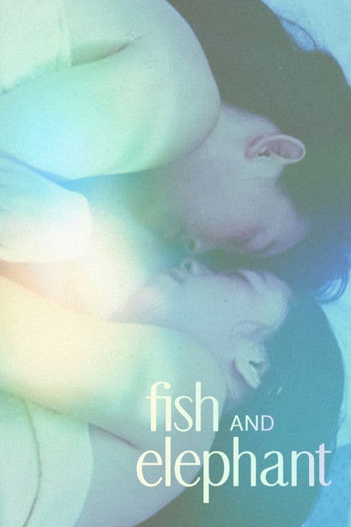 Poster for Fish and Elephant